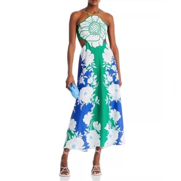 FARM Rio Dresses & Skirts - FARM Rio Soft Garden Flower Maxi Dress Size XL